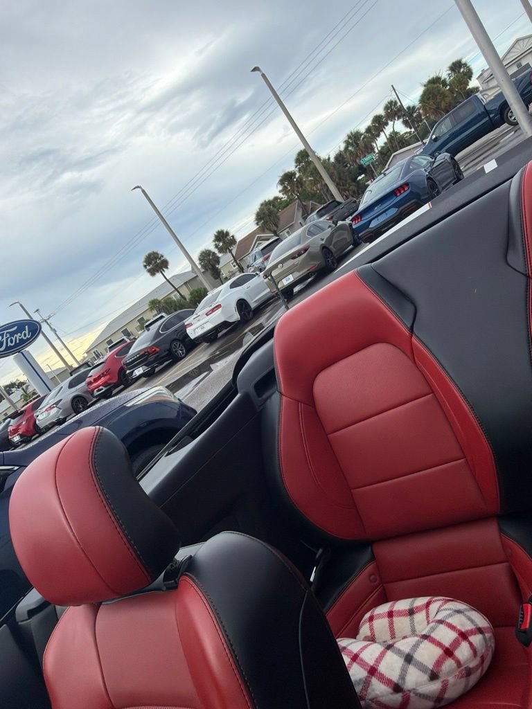 Used 2016 Ford Mustang GT Premium w/ Equipment Group 401A RWD image 6