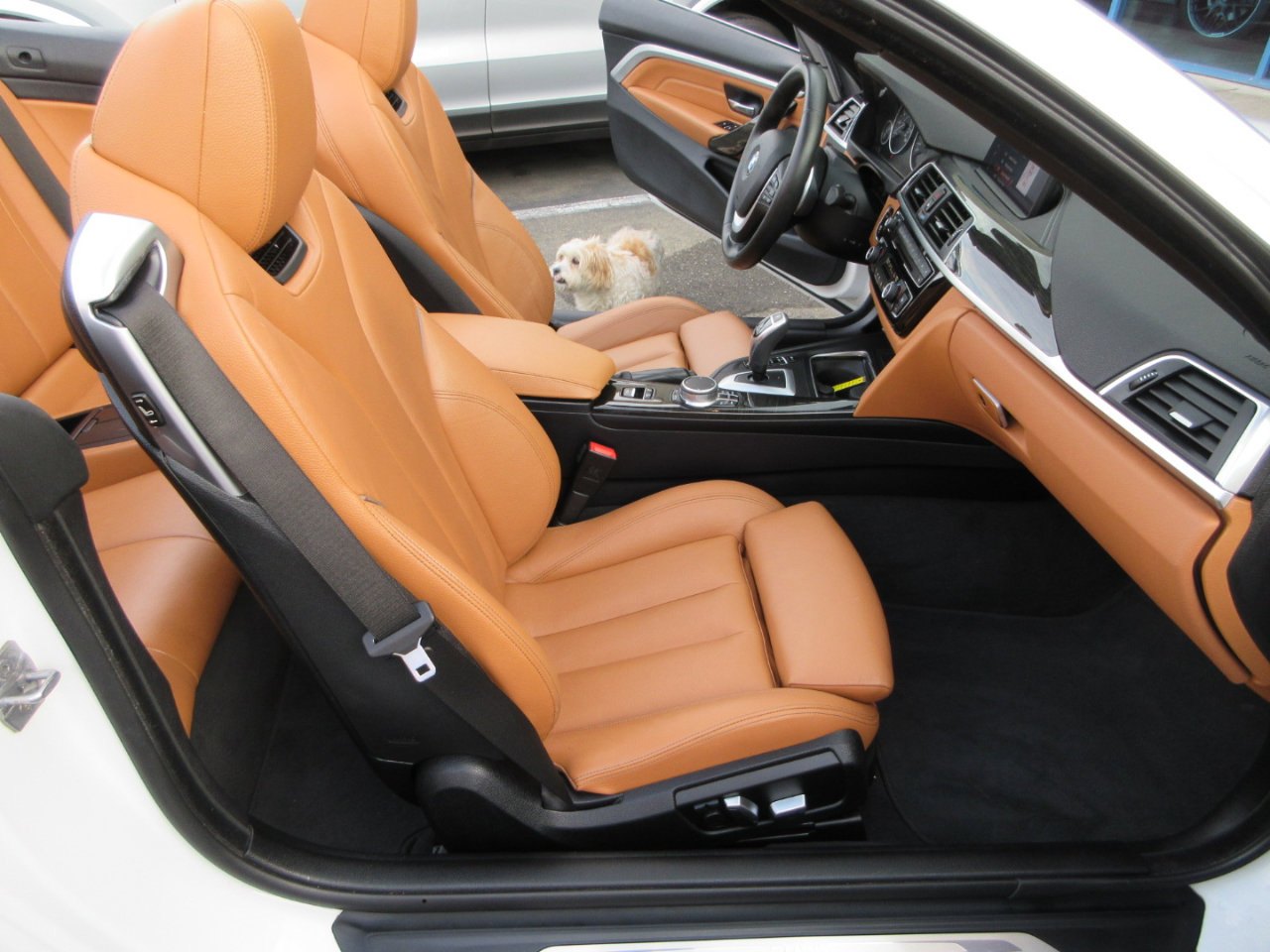 Used 2019 BMW 440i Convertible w/ Convenience Package image 23