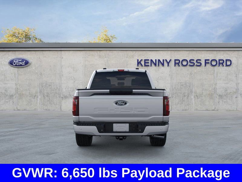 New 2025 Ford F150 STX w/ STX Black Appearance Package image 5