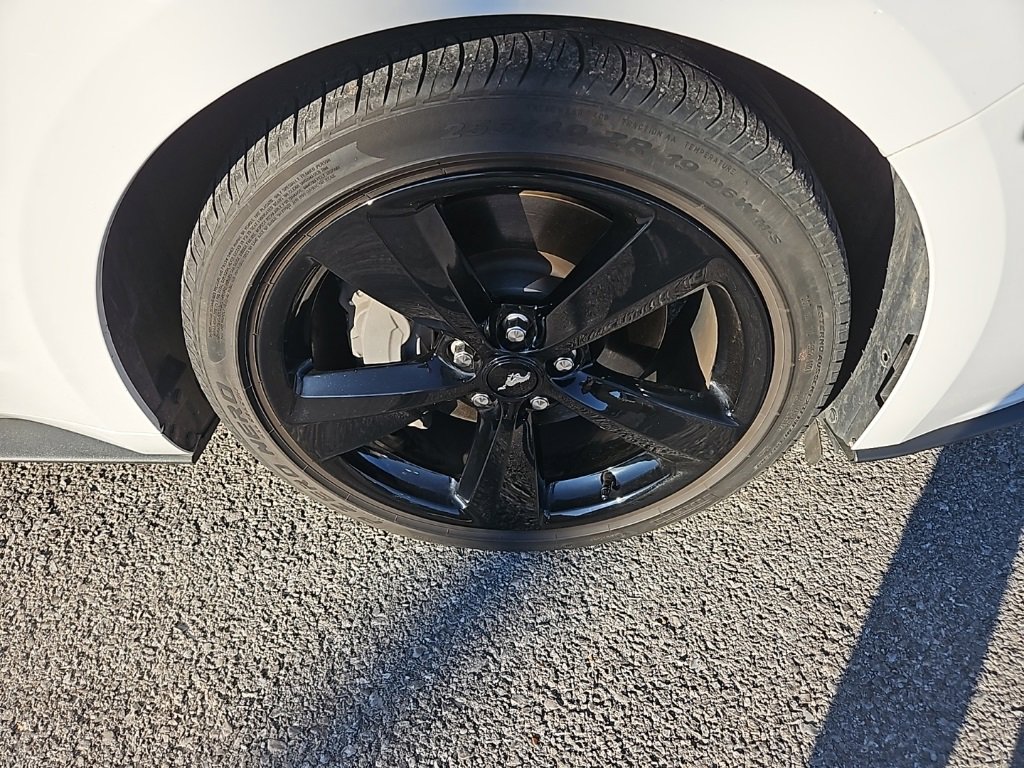 Used 2021 Ford Mustang GT Premium w/ Equipment Group 401A image 10