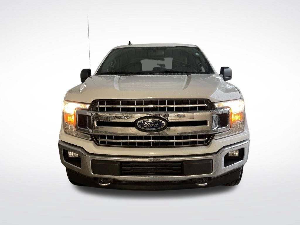 Used 2019 Ford F150 XLT w/ Equipment Group 302A Luxury AWD/4WD image 3
