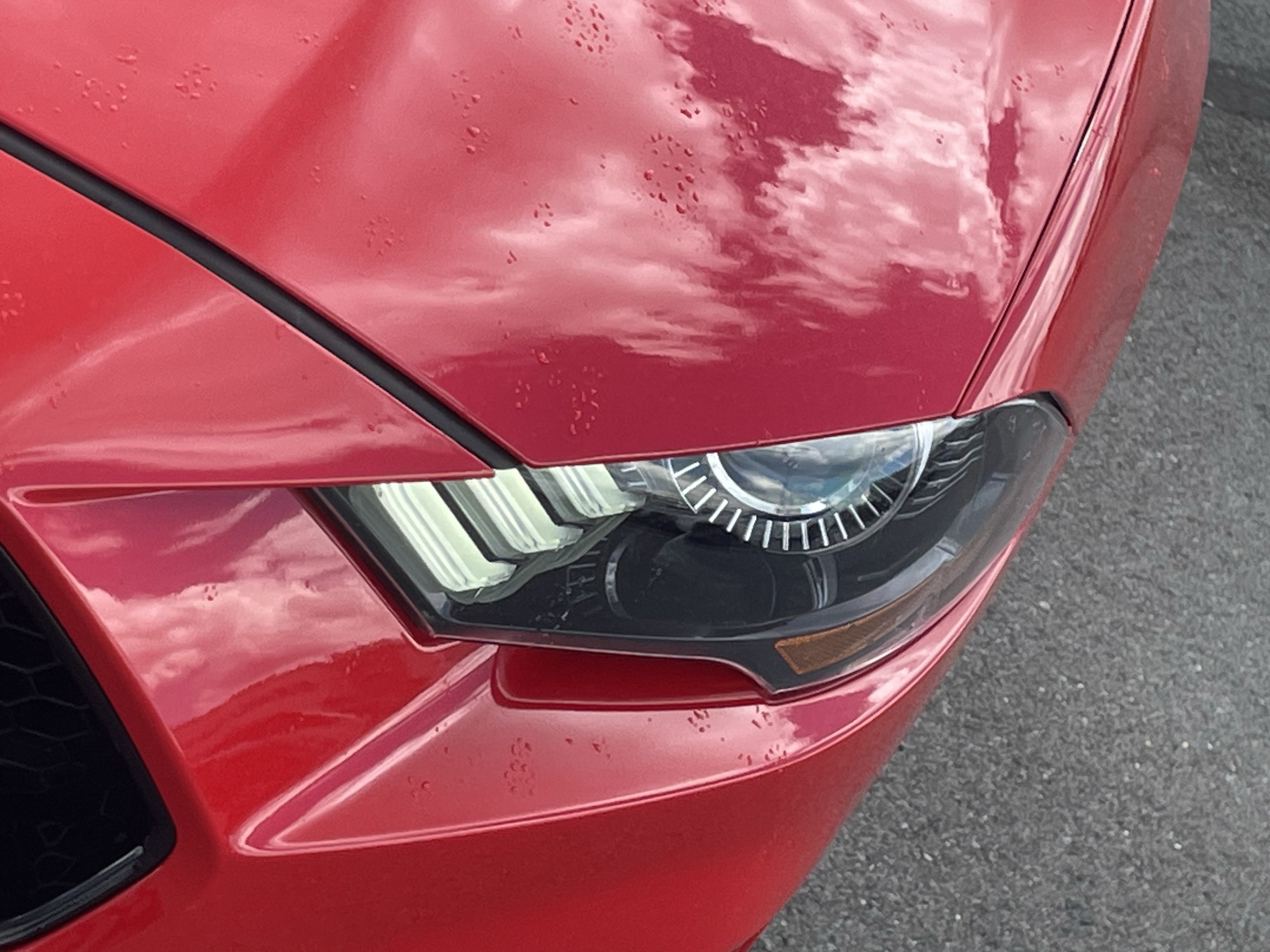 Used 2019 Ford Mustang GT Premium w/ Equipment Group 401A RWD image 10