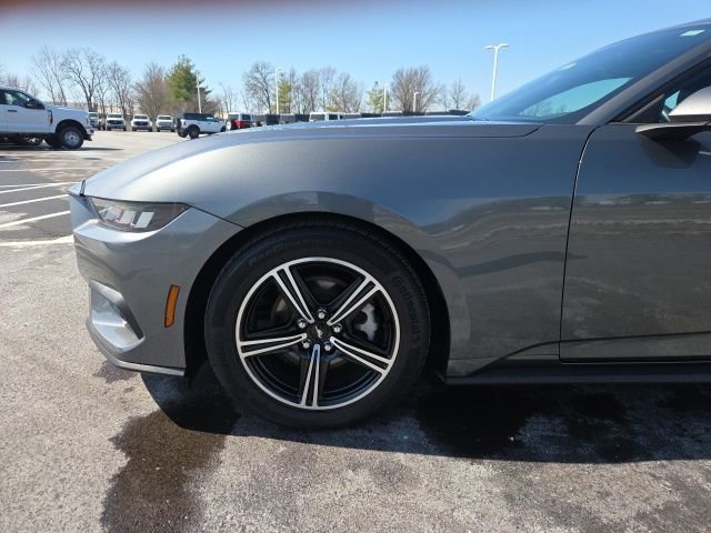 Used 2025 Ford Mustang Premium image 13