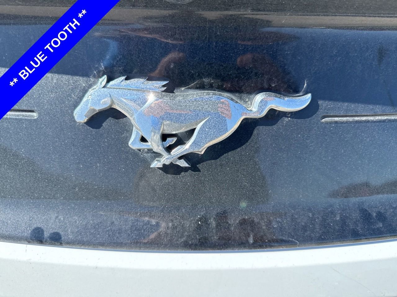 Used 2022 Ford Mustang Premium w/ Equipment Group 201A RWD image 8