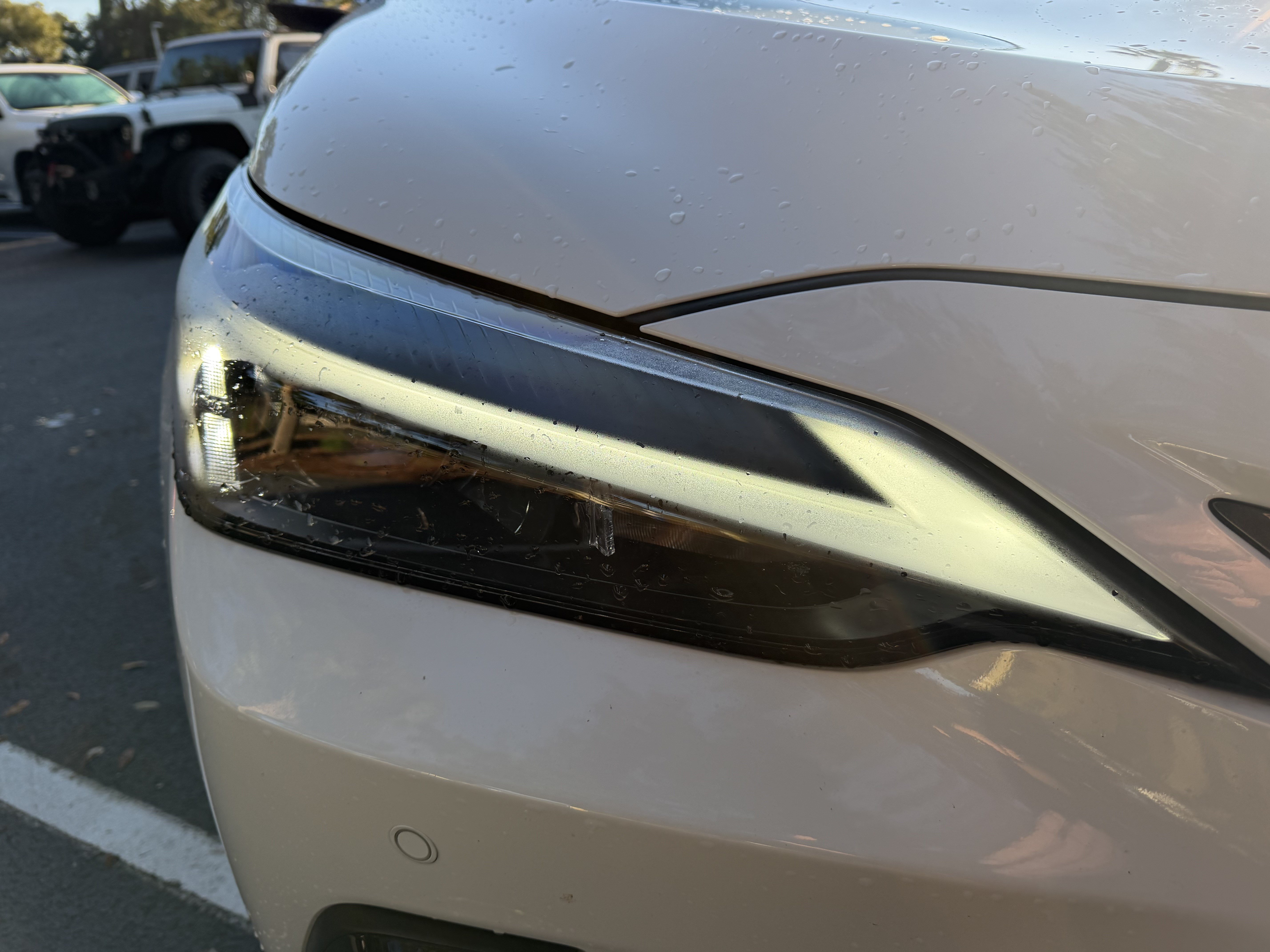 Used 2026 Lexus NX 350 AWD w/ Cold Area Package image 12