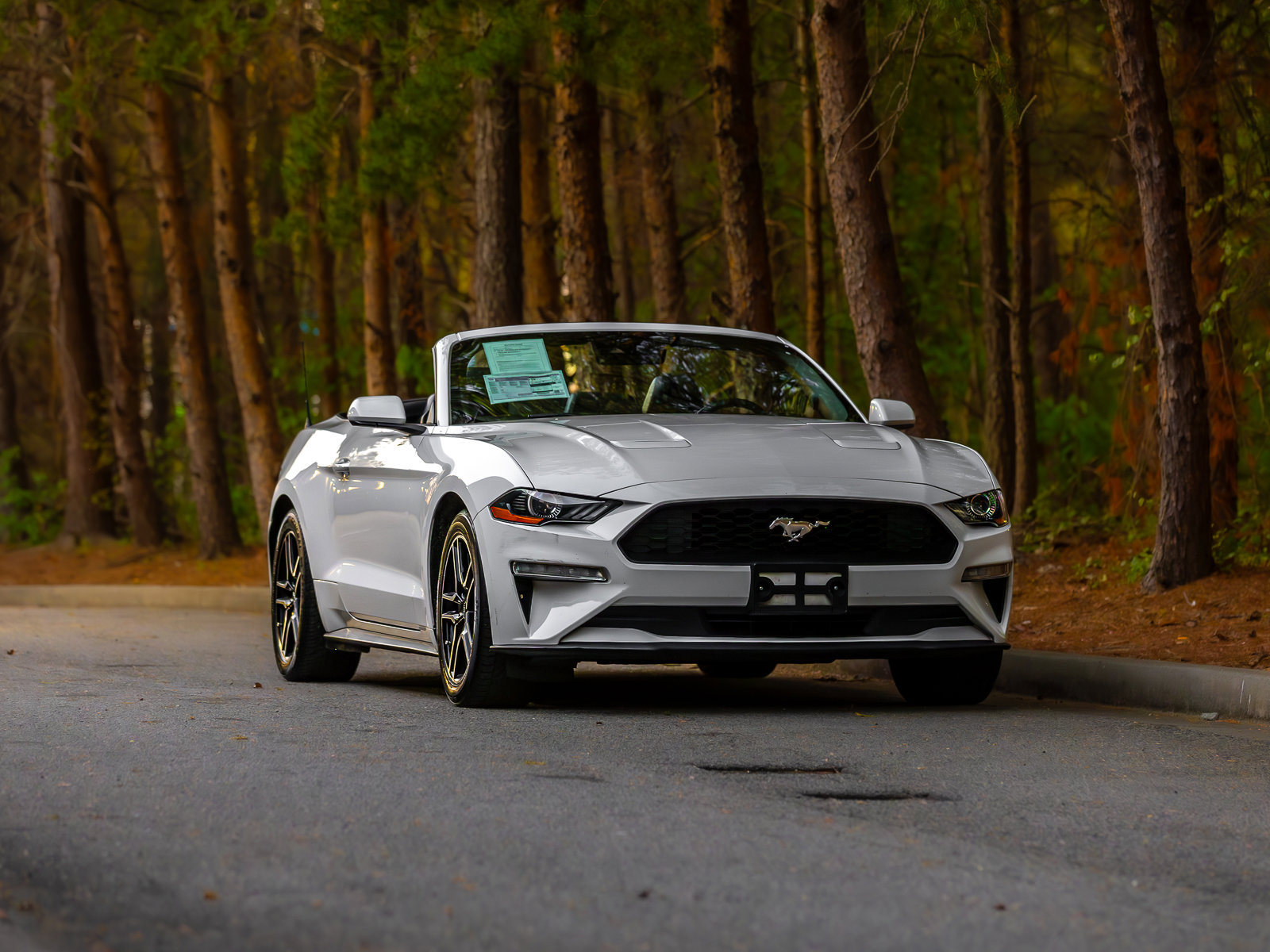 Used 2022 Ford Mustang Premium image 41