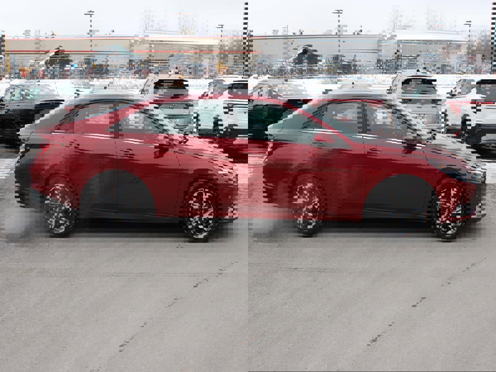 Used 2023 Hyundai Elantra Limited image 4