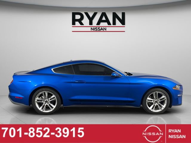 Used 2019 Ford Mustang Premium w/ Equipment Group 201A image 4