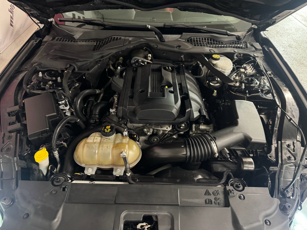 Used 2018 Ford Mustang Premium w/ Equipment Group 201A RWD image 8