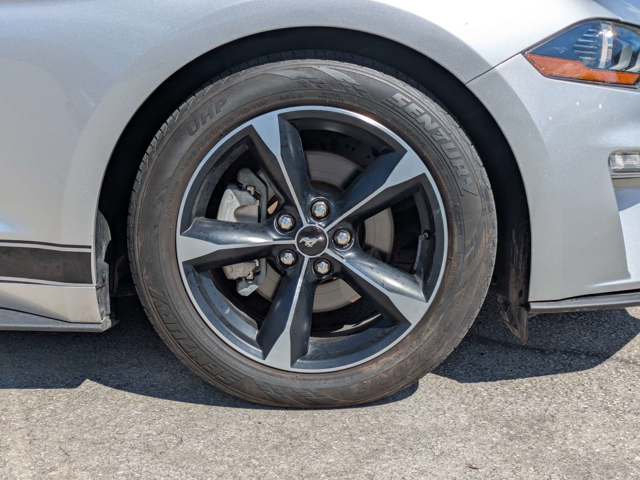 Used 2019 Ford Mustang EcoBoost image 11