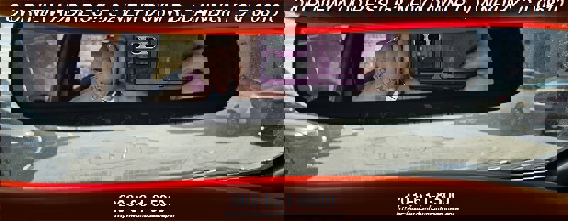 Used 2018 Nissan Leaf SV w/ SV Technology Package FWD image 11