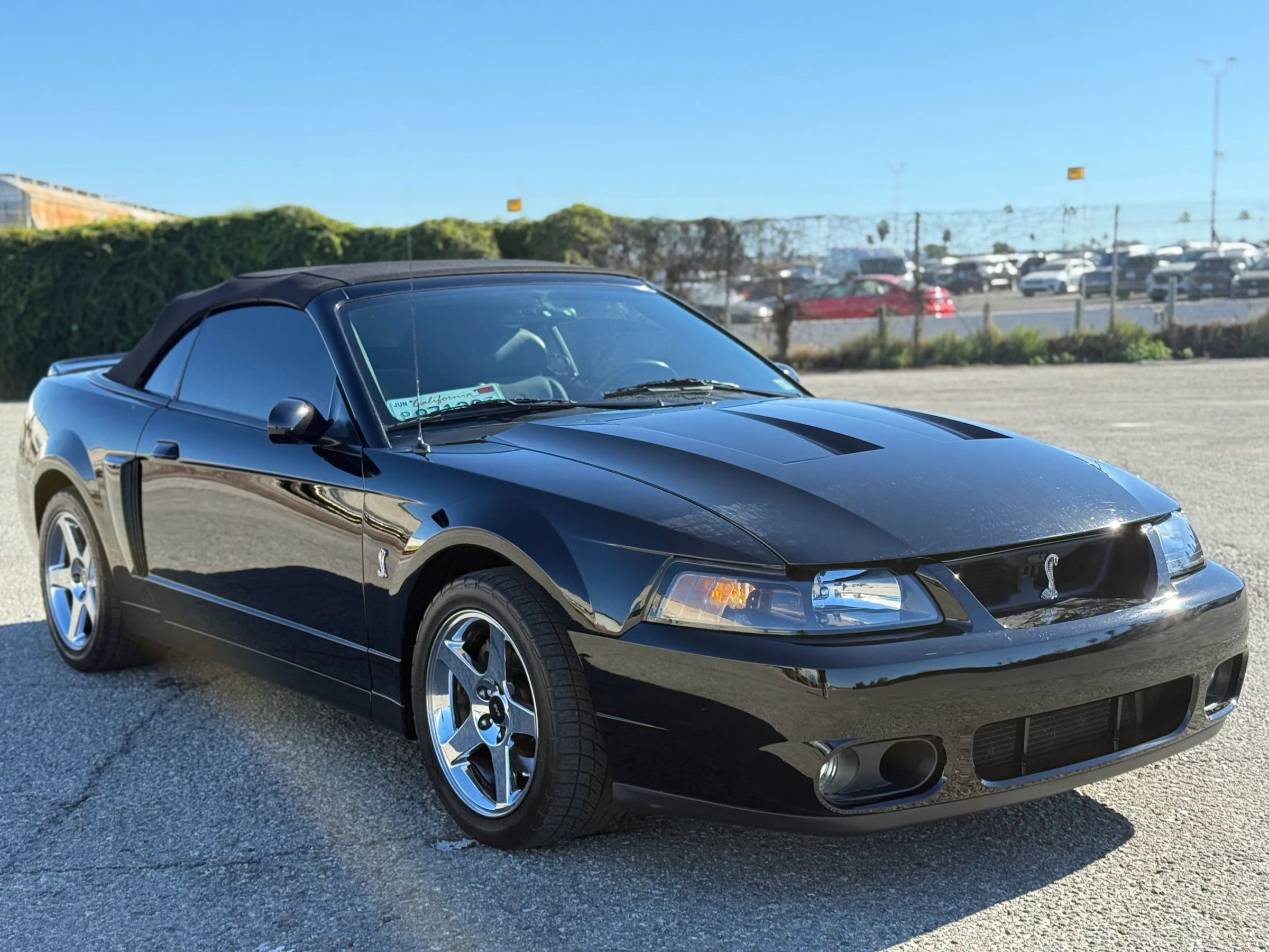 Used 2004 Ford Mustang Cobra image 9