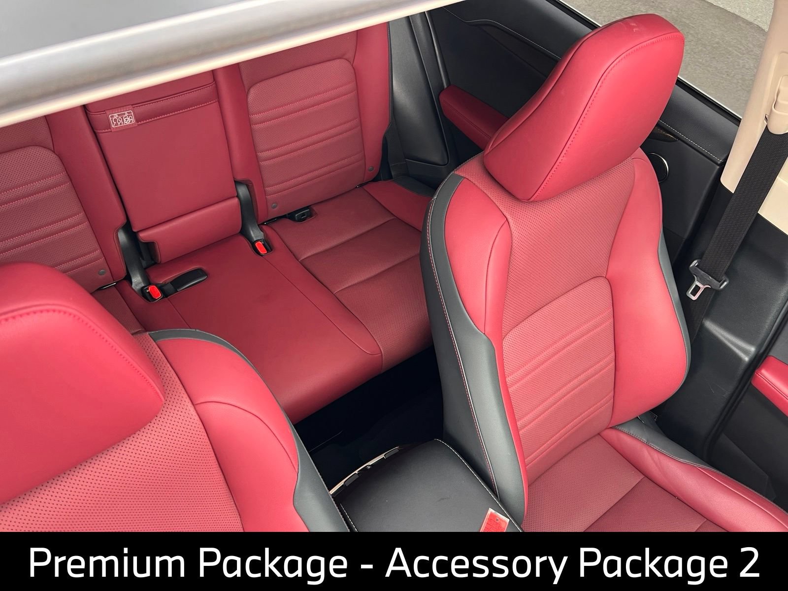 Used 2020 Lexus NX 300h AWD w/ Premium Package image 12