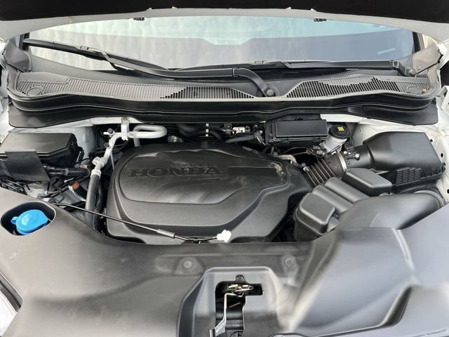 Used 2024 Honda Passport TrailSport image 20