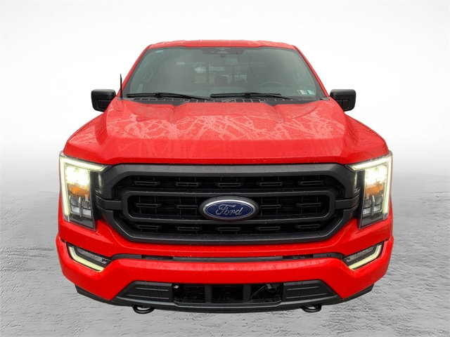 Used 2023 Ford F150 XLT w/ Equipment Group 302A High image 7