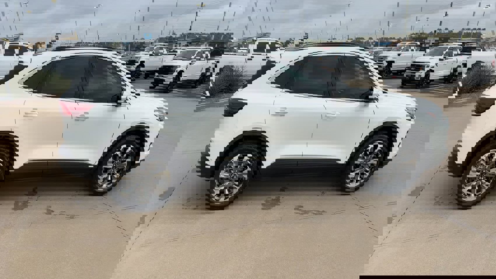 Used 2024 Ford Escape Platinum w/ Premium Technology Package image 2