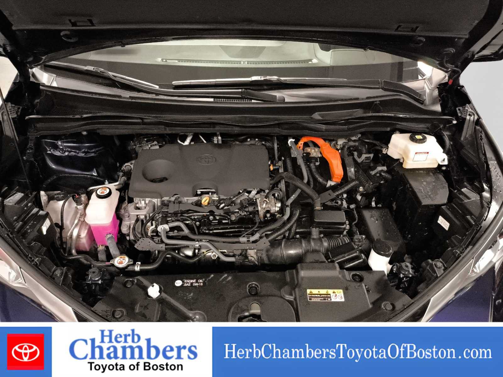 Used 2023 Toyota Sienna Platinum AWD/4WD image 8