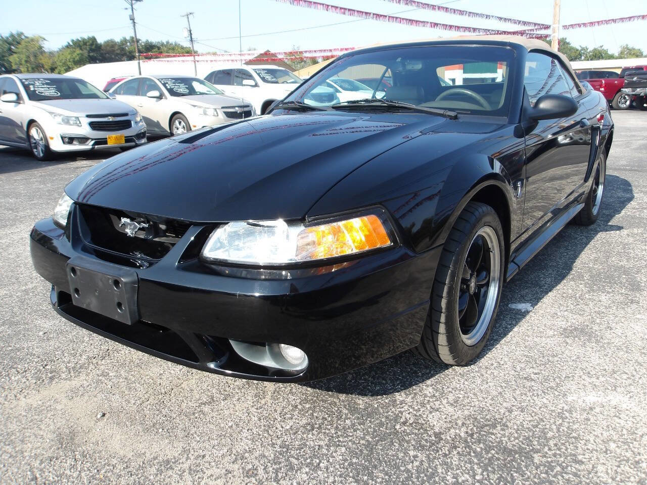 Used 1999 Ford Mustang Cobra image 16