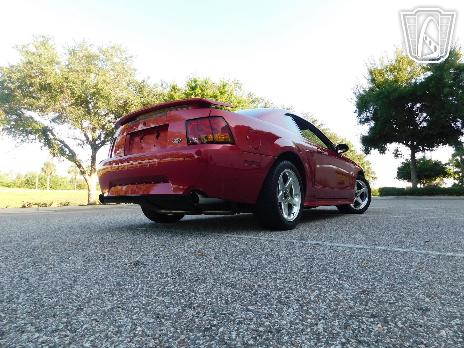 Used 2001 Ford Mustang Cobra image 15
