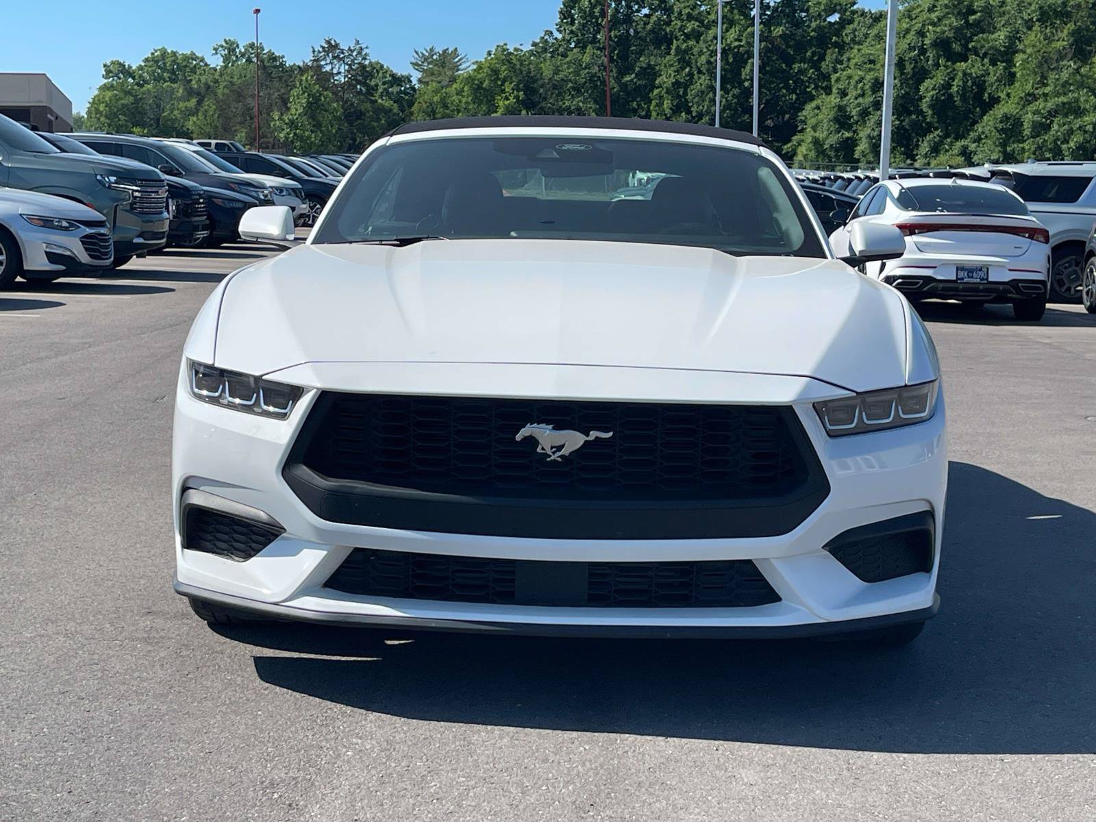 Used 2024 Ford Mustang Premium RWD image 8