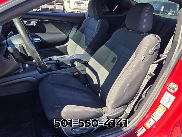 Used 2019 Ford Mustang GT w/ Equipment Group 301A image 8