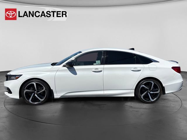 Used 2022 Honda Accord Sport image 4