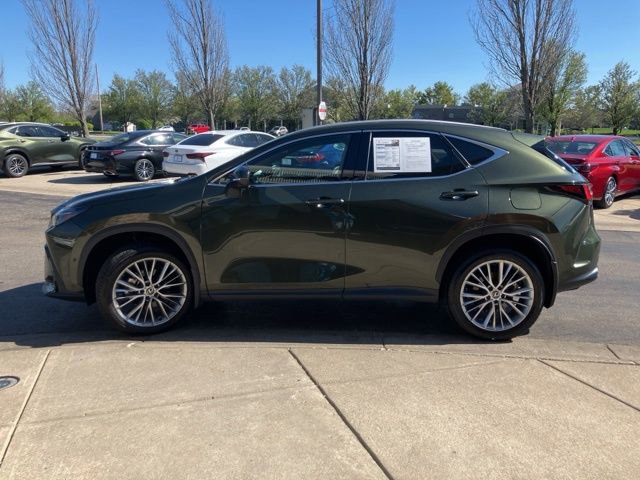 Used 2025 Lexus NX 350 AWD w/ Luxury Package image 6