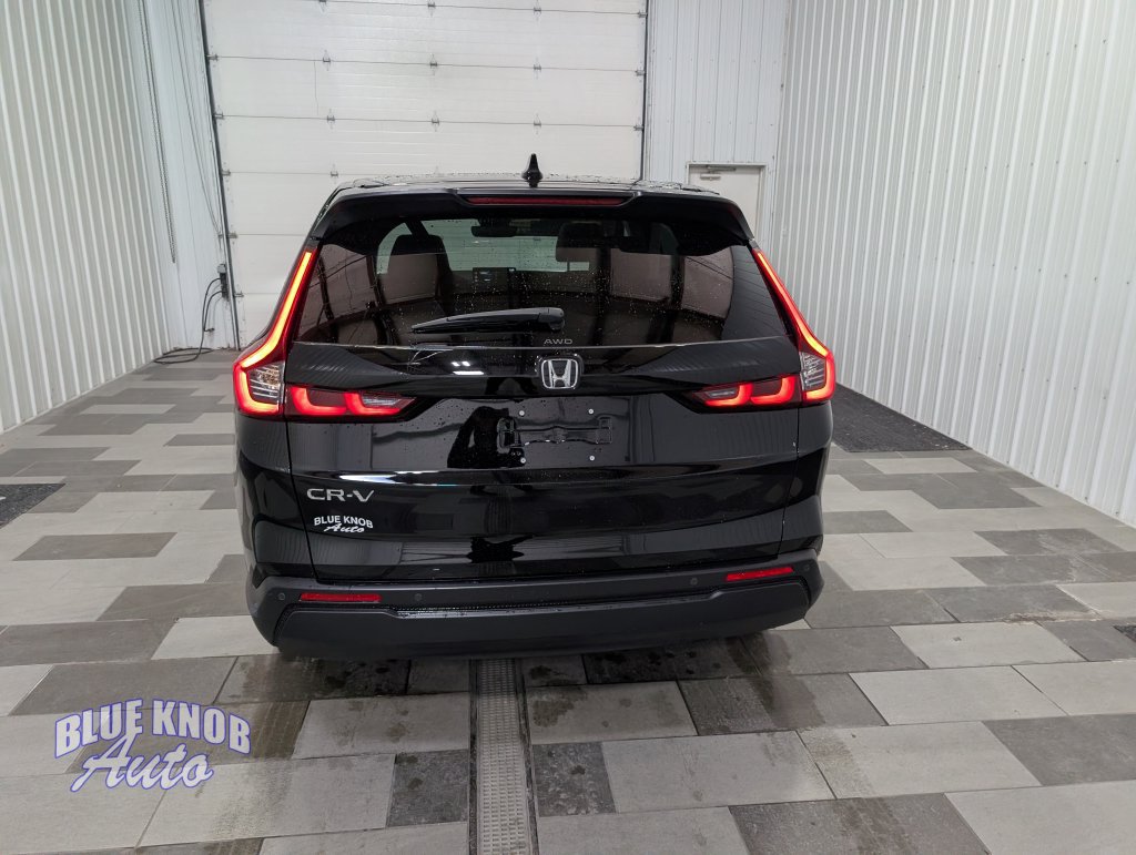 Used 2026 Honda CR-V EX-L image 3