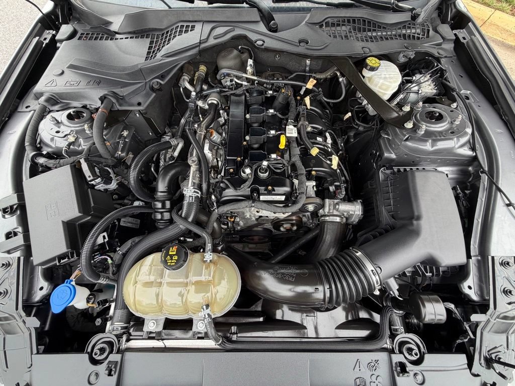Used 2022 Ford Mustang Convertible w/ Equipment Group 101A RWD image 17