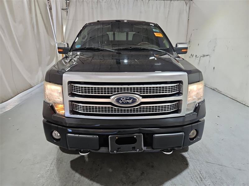 Used 2010 Ford F150 Platinum AWD/4WD image 2