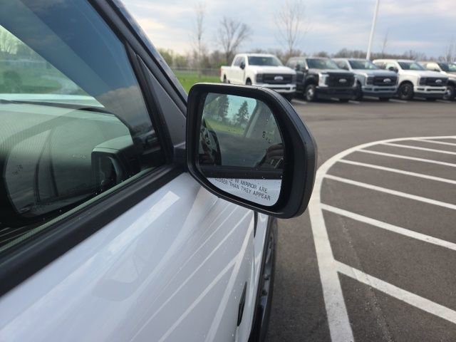 Used 2024 Ford Bronco Sport Big Bend image 6