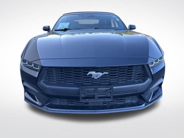 Used 2025 Ford Mustang Premium image 9