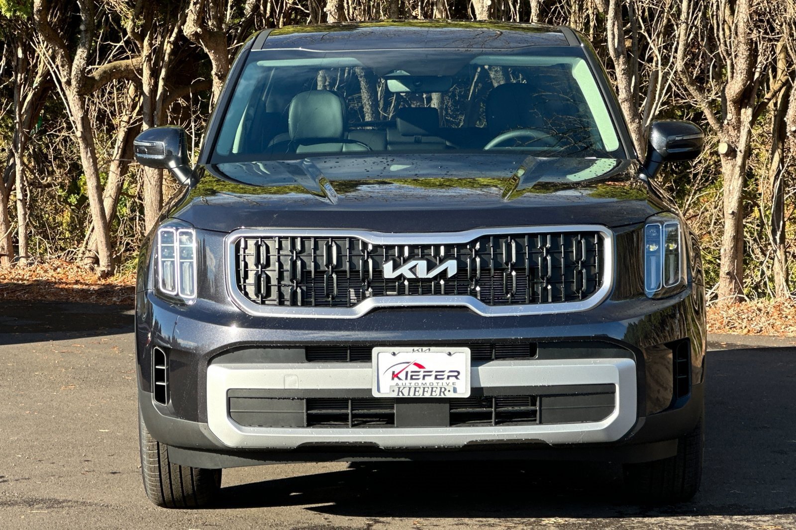 New 2025 Kia Telluride LX image 5