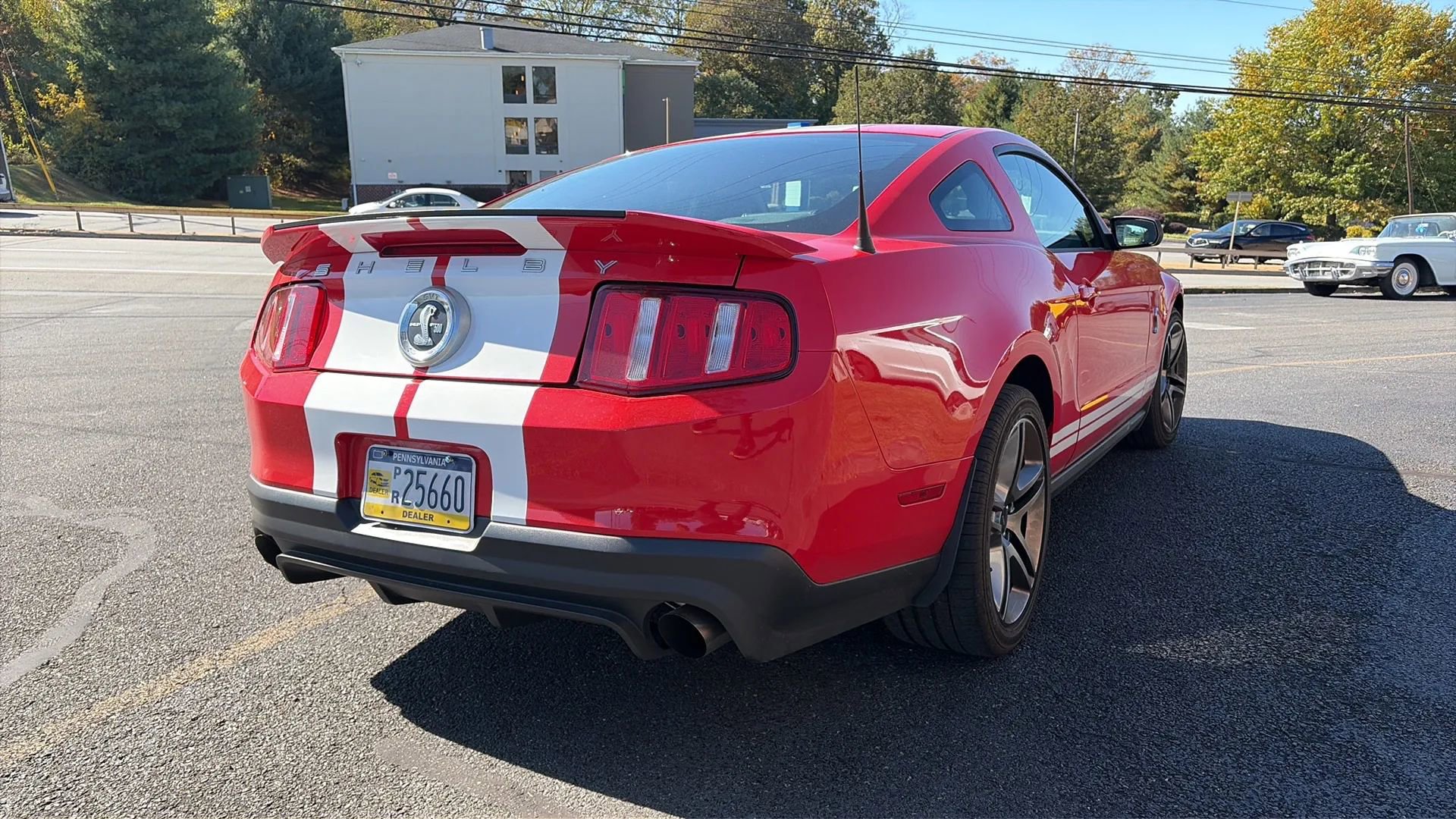 Used 2010 Ford Mustang Shelby GT500 image 11