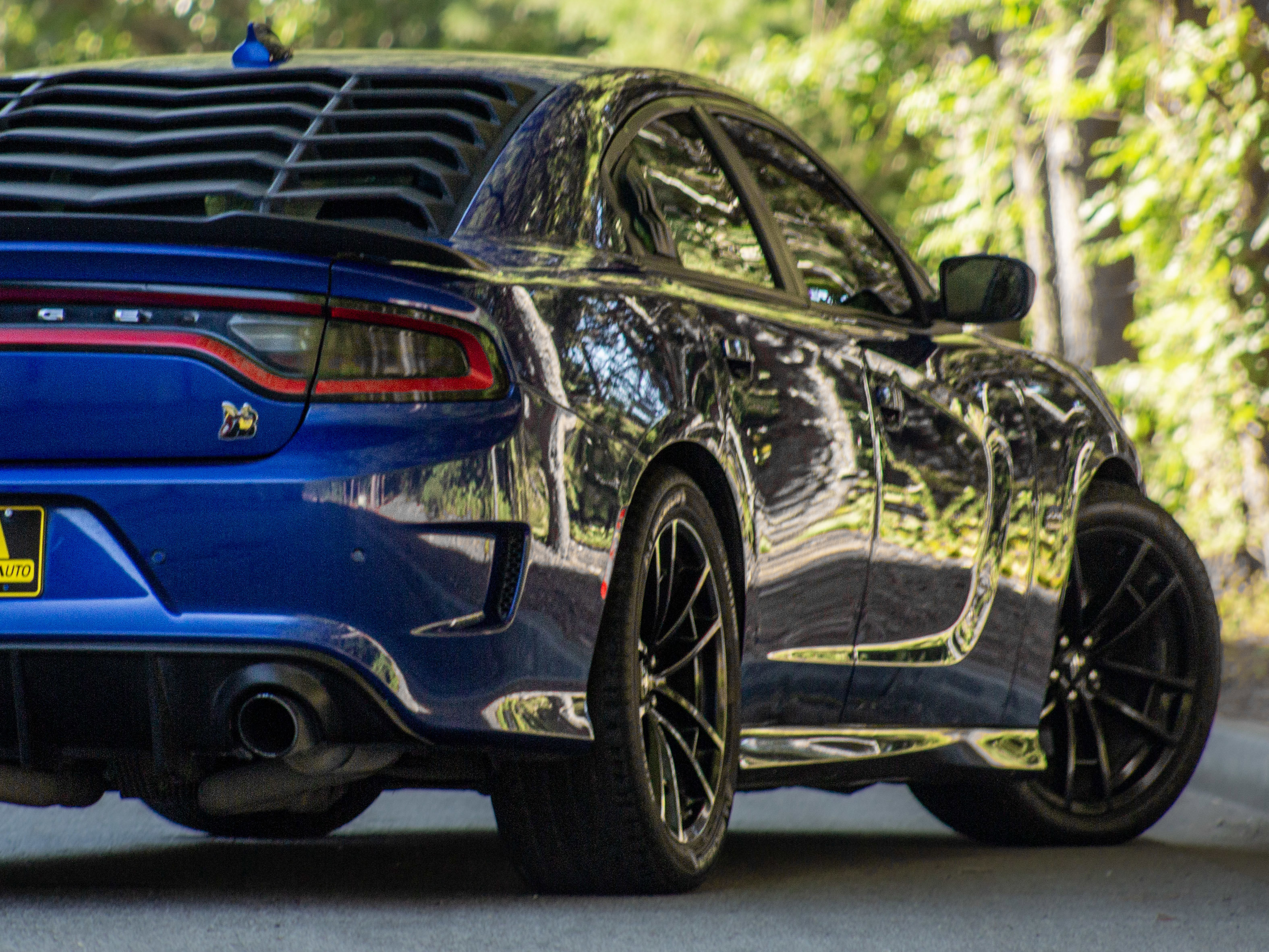 Used 2019 Dodge Charger Scat Pack image 28
