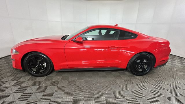 Used 2022 Ford Mustang Coupe RWD image 6