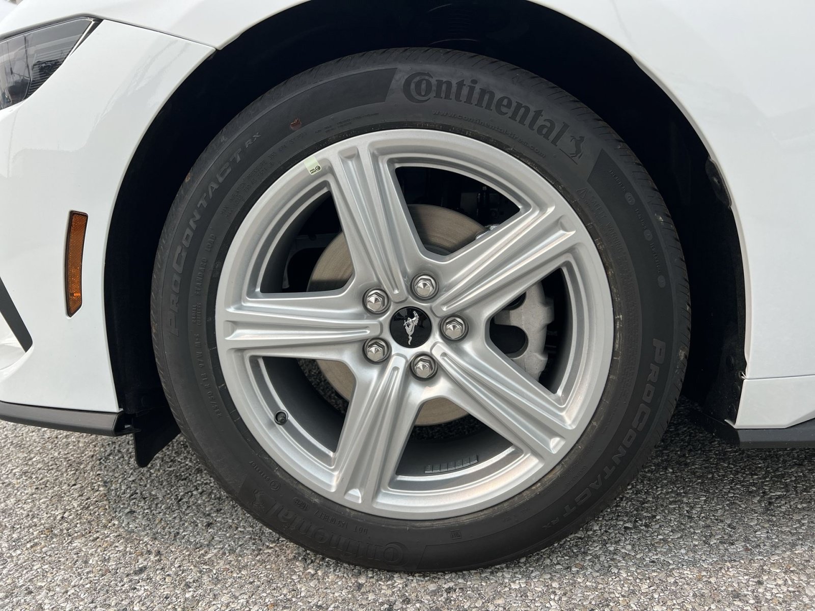 New 2026 Ford Mustang Coupe RWD image 12