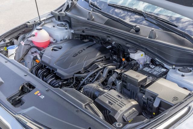 Used 2024 Kia Sportage X-Pro image 11