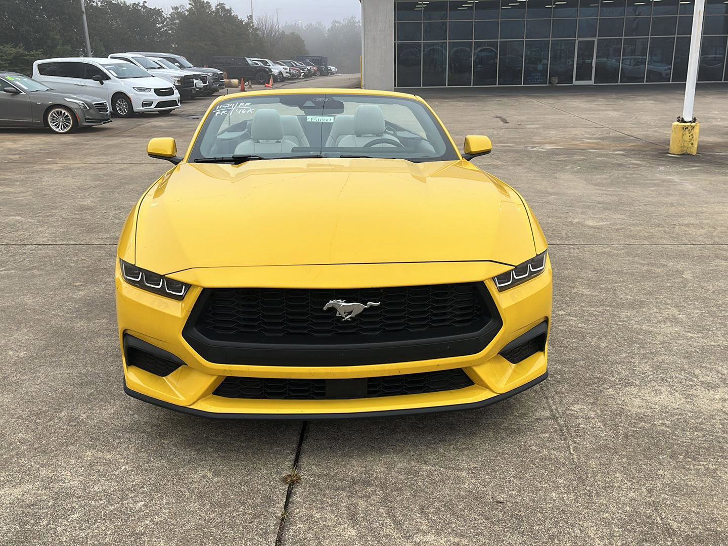 Used 2024 Ford Mustang Premium image 2