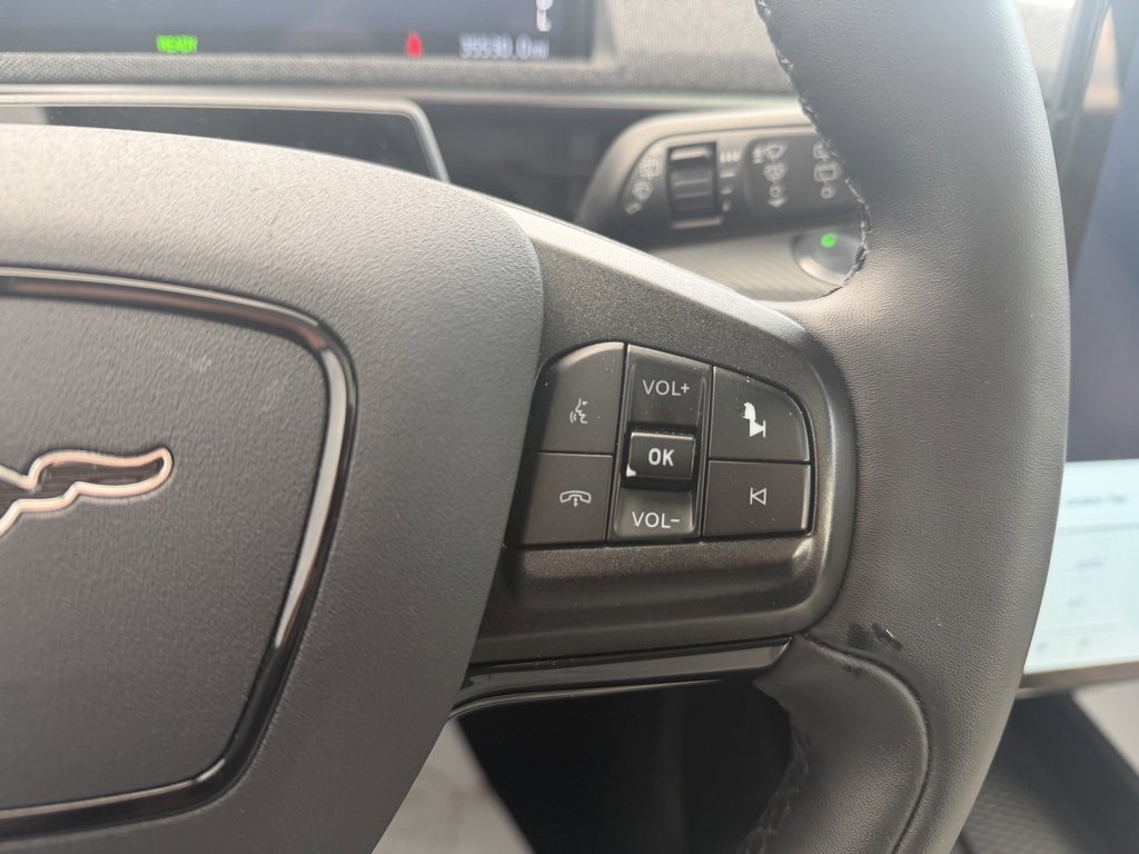 Used 2021 Ford Mustang Mach-E Premium image 25