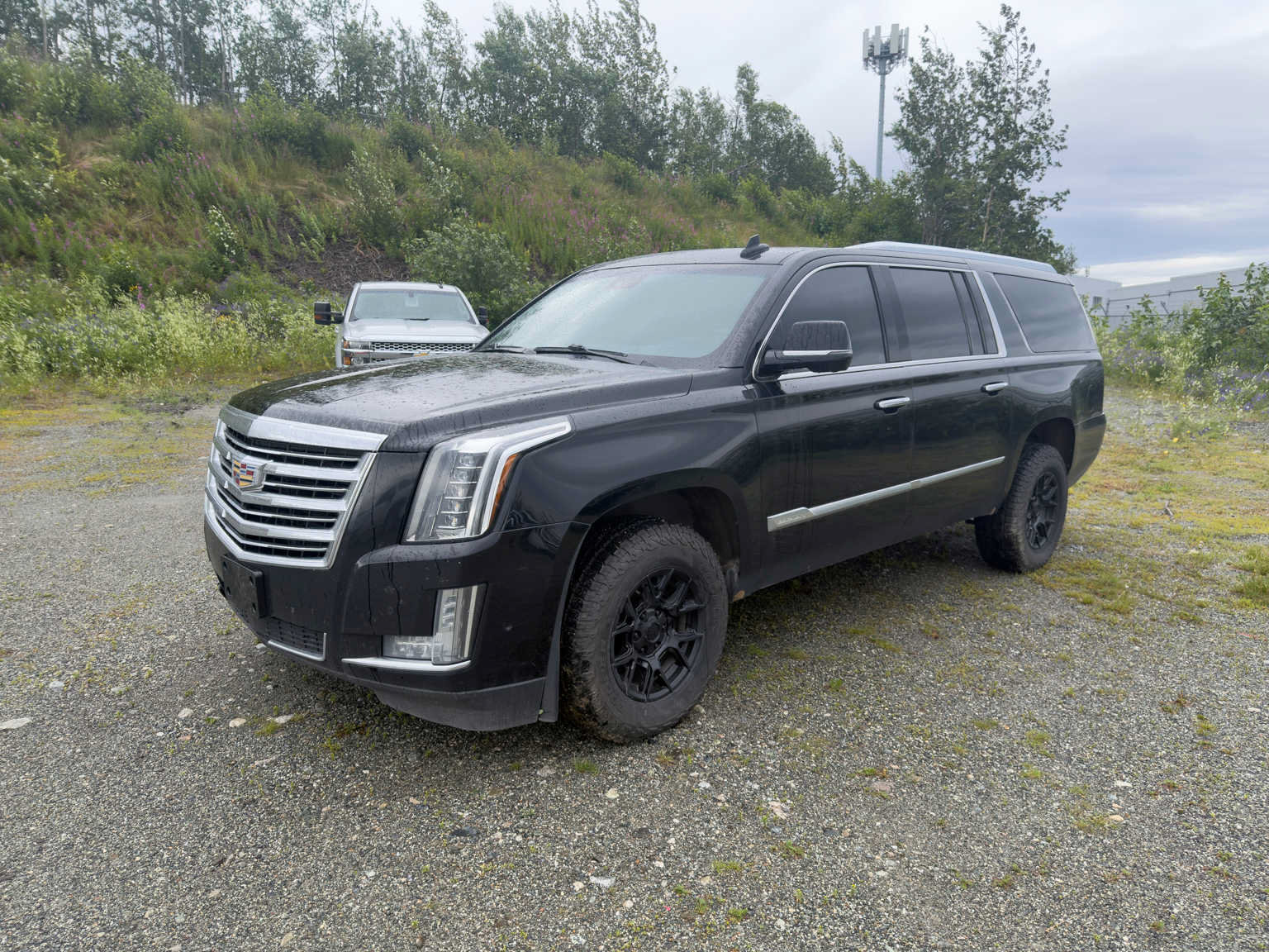 Used 2020 Cadillac Escalade ESV Platinum AWD/4WD image 3