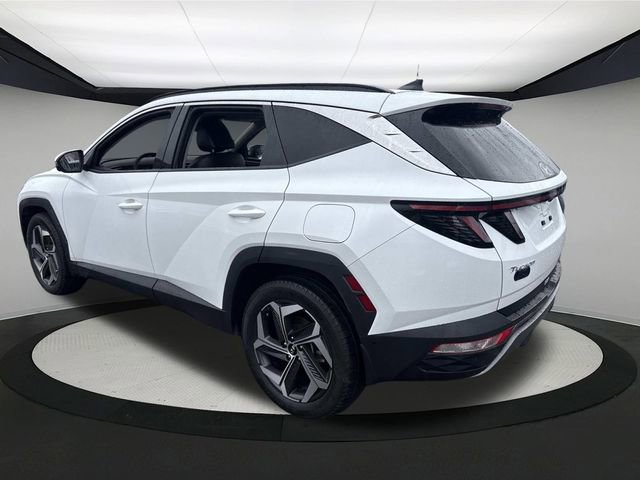Certified 2022 Hyundai Tucson Limited image 12