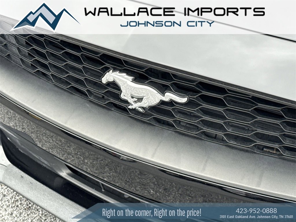 Used 2020 Ford Mustang EcoBoost image 11