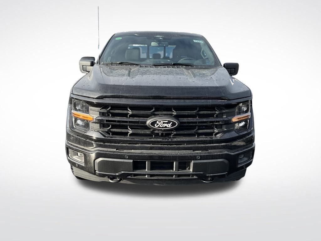 New 2025 Ford F150 XLT w/ Equipment Group 302A MID image 8