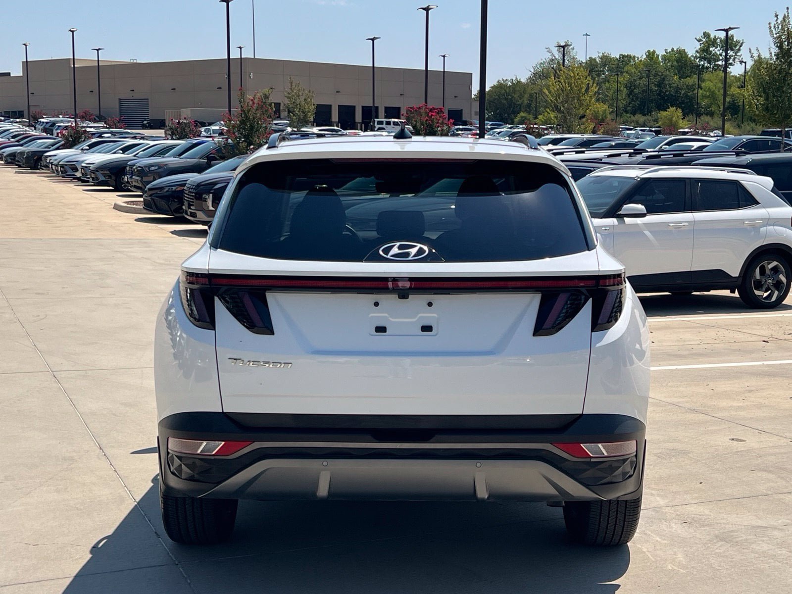Certified 2024 Hyundai Tucson Limited FWD image 10