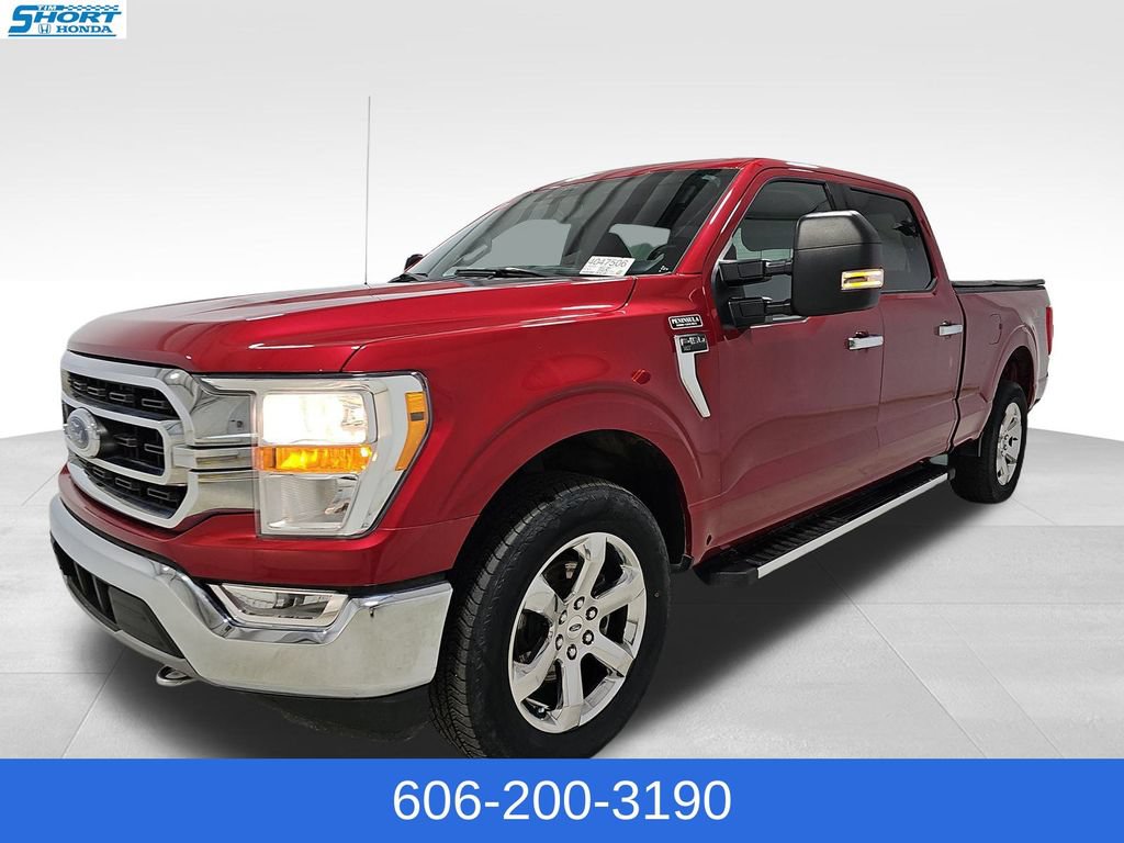 Used 2021 Ford F150 XLT w/ Equipment Group 301A Mid AWD/4WD image 1