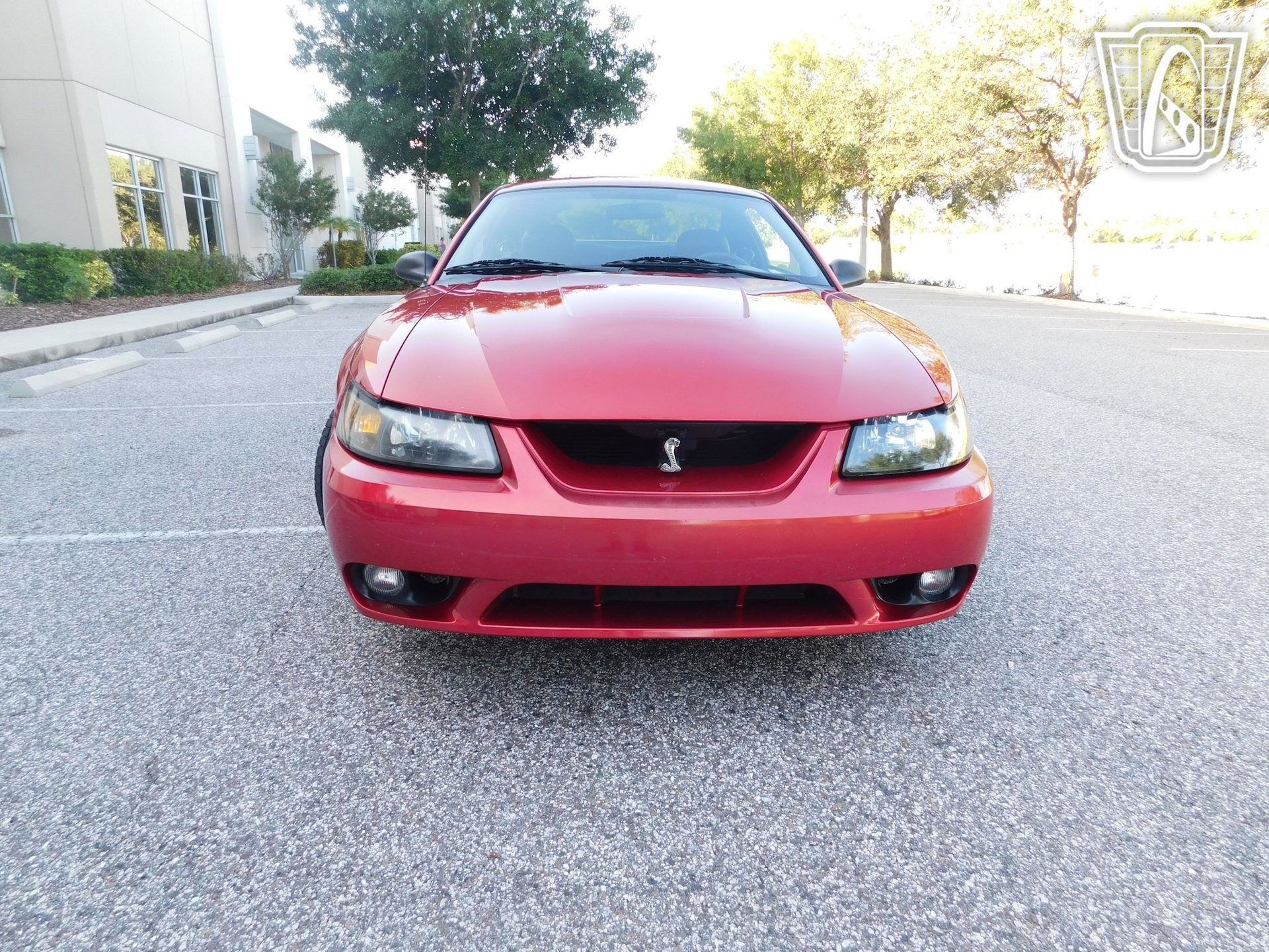 Used 2001 Ford Mustang Cobra image 2
