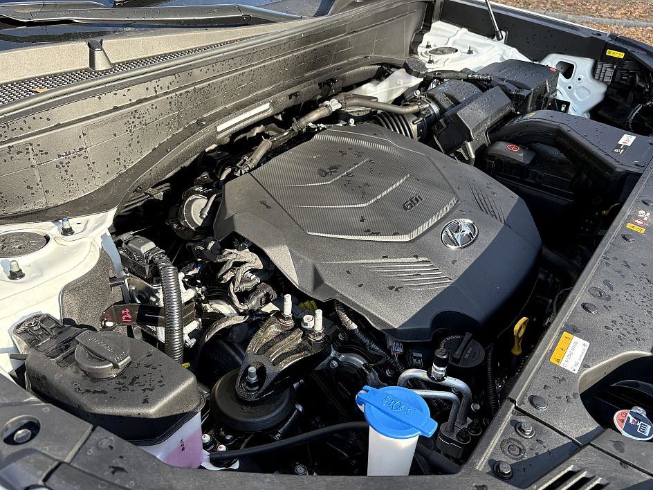 Used 2025 Hyundai Palisade Calligraphy image 29