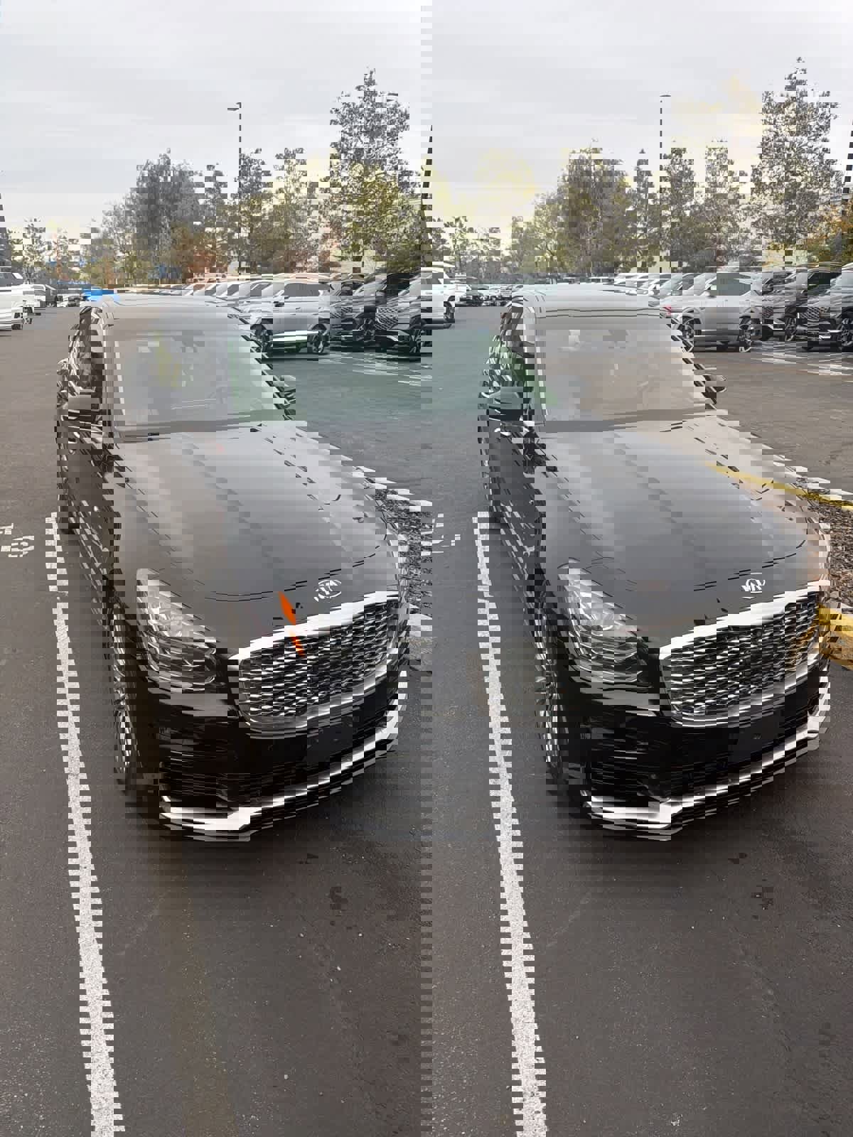 Used 2019 Kia K900 Luxury w/ VIP Package image 2