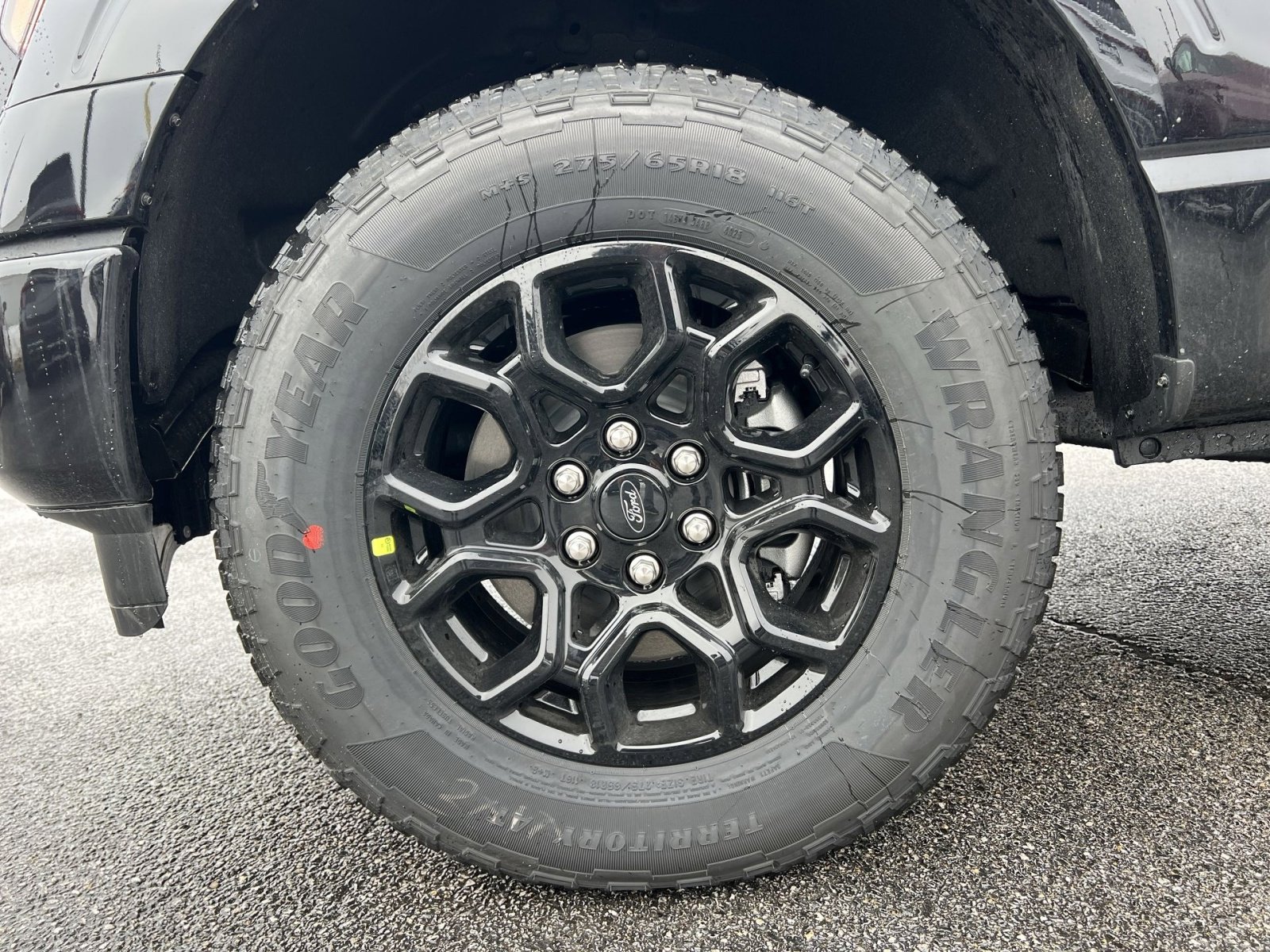 New 2026 Ford F150 XLT w/ Equipment Group 302A MID image 12